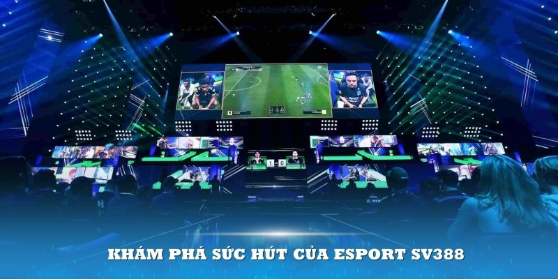 Khám phá sức hút của Esport SV388