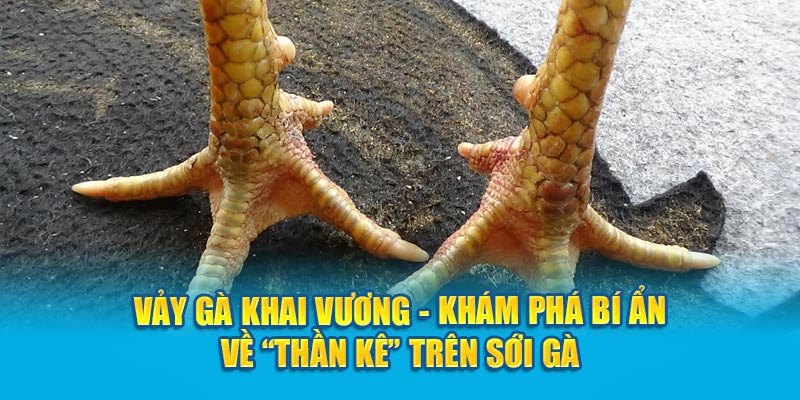 Vảy Khai Vương