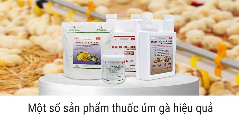 Chia sẻ loại thuốc được các bác sĩ thú y khuyến khích người nuôi sử dụng